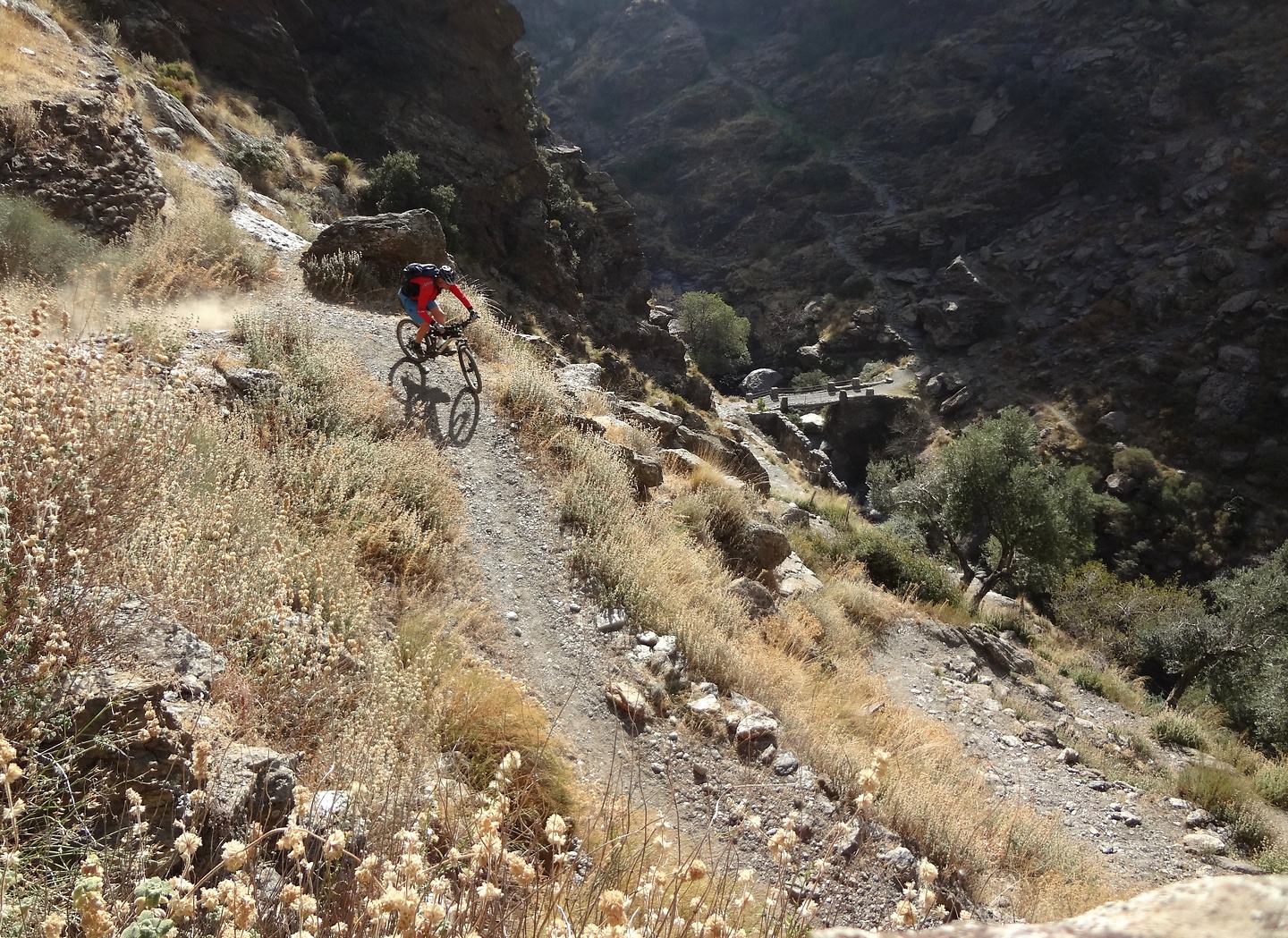 busquista-trail1.jpg