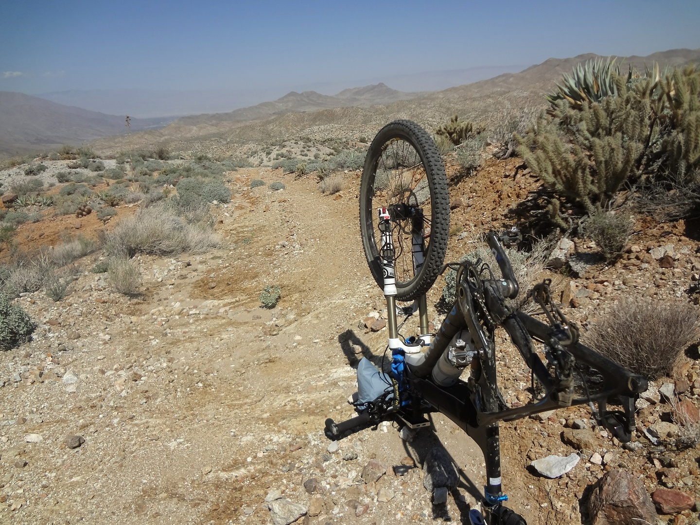 palmcanyon-trail20.jpg