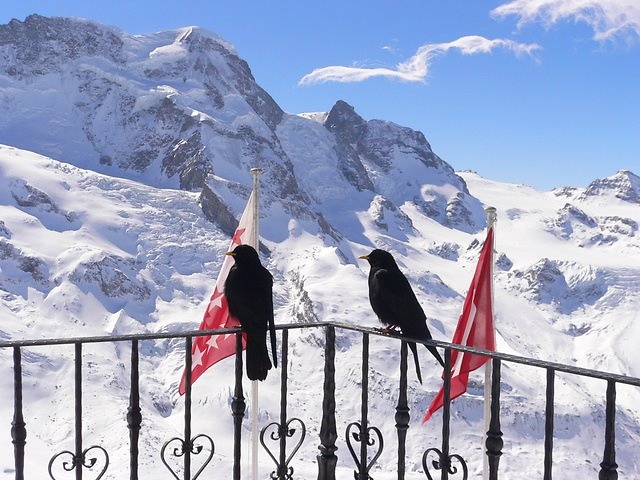 GornergratBreithorn.jpg