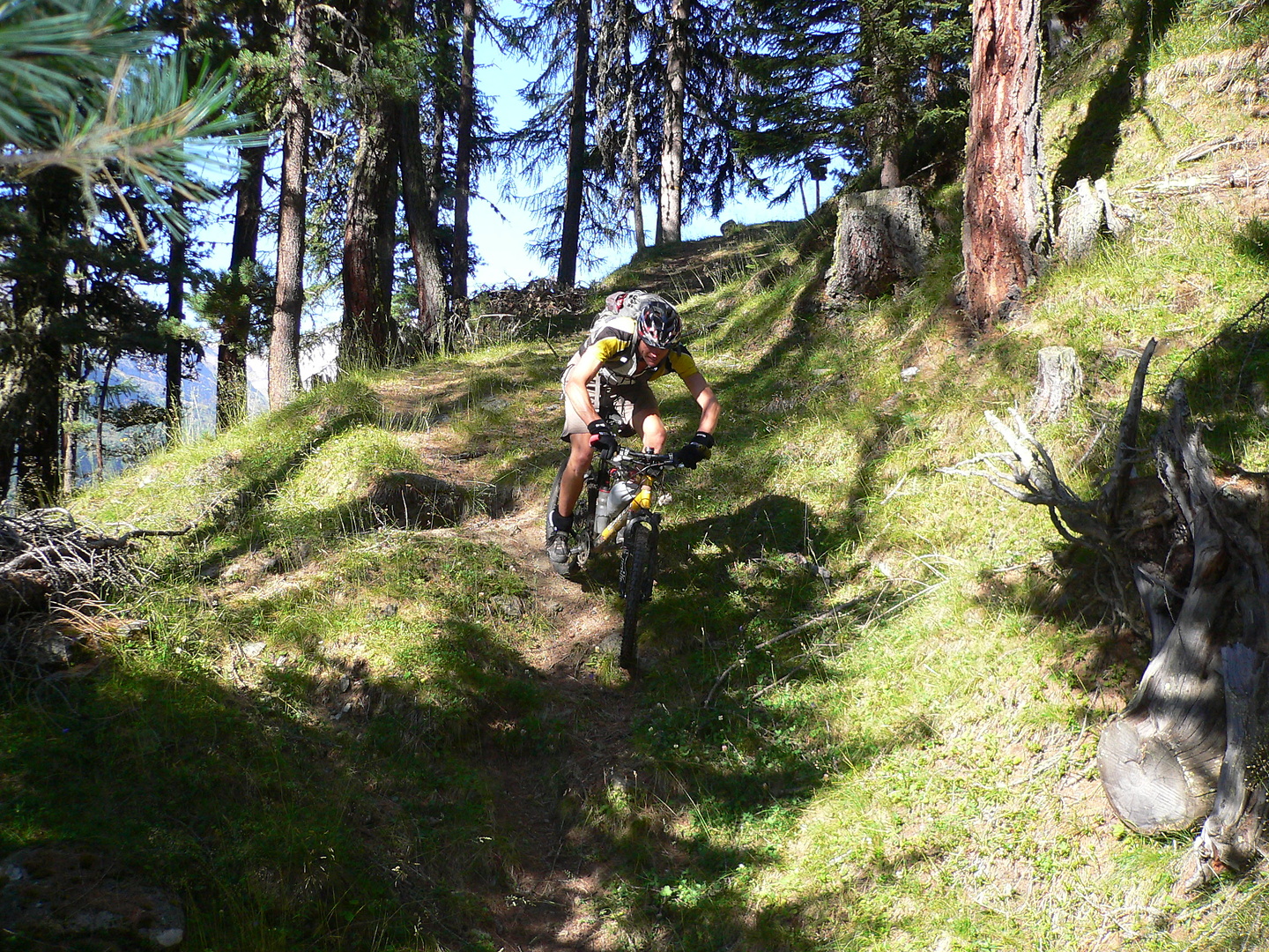 lydl-trail.jpg