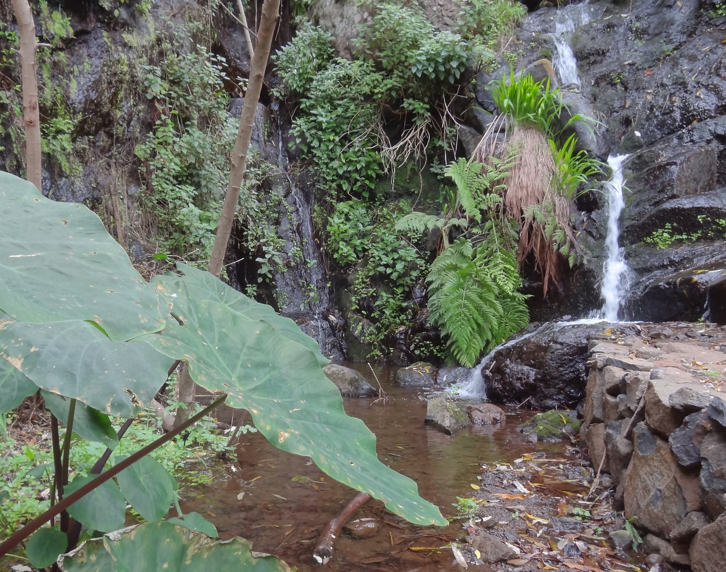 hermigua-waterfall2.jpg