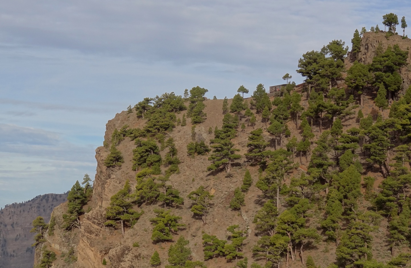 lapalma-roquerifugio2.jpg