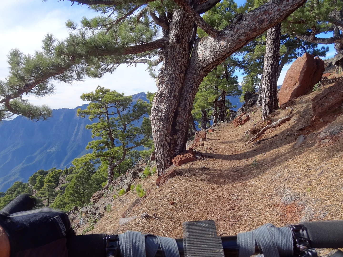 lapalma-roquetrail4.jpg