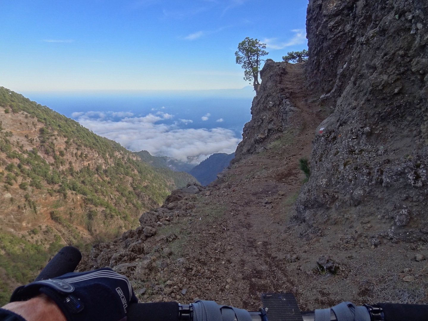 lapalma-roquetrail7.jpg
