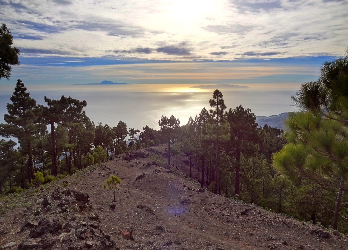 lapalma-roquetrail8.jpg