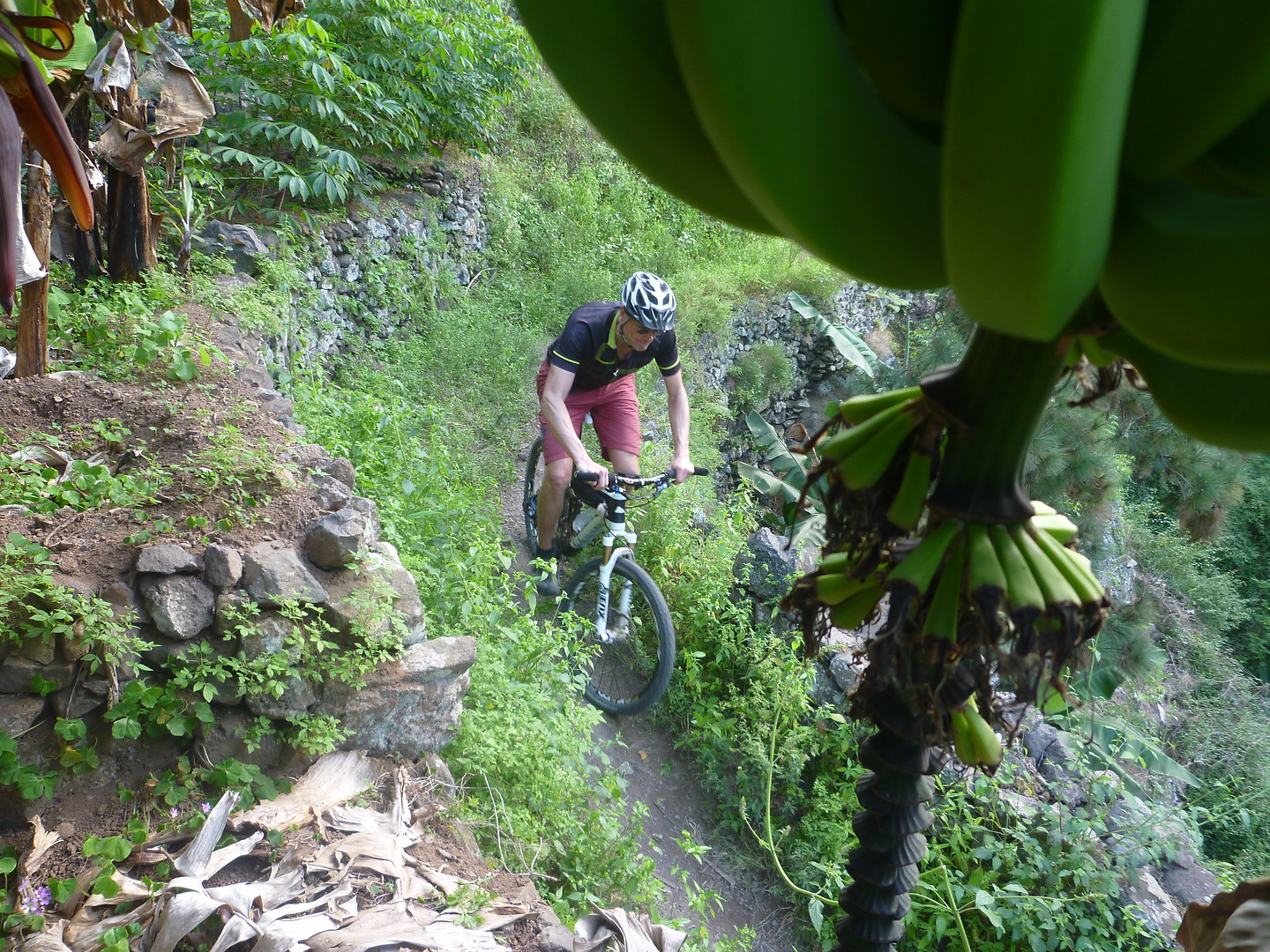 isabel-trail18.jpg