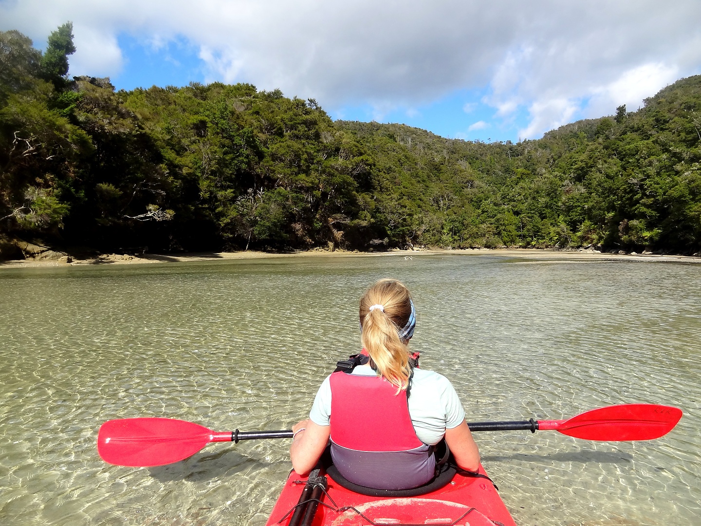 abeltasman-sandfly1.jpg