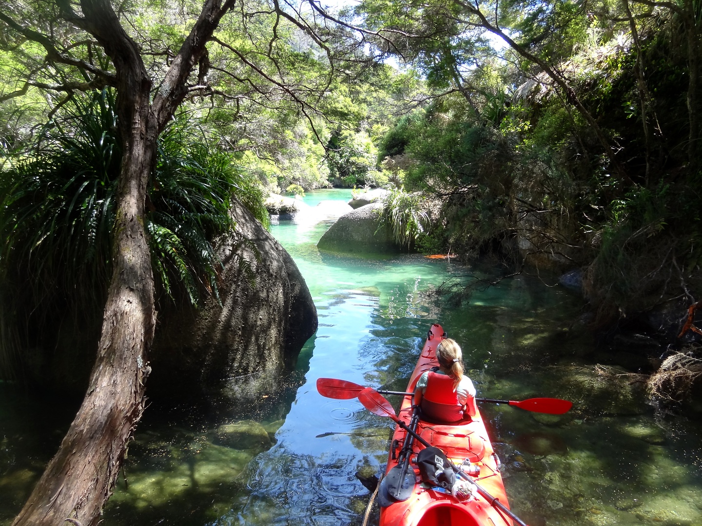 abeltasman-shagharbour3.jpg