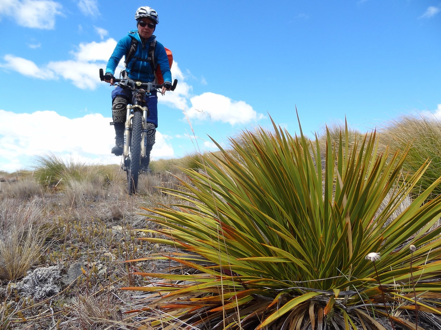 ahuriri-trail2.jpg