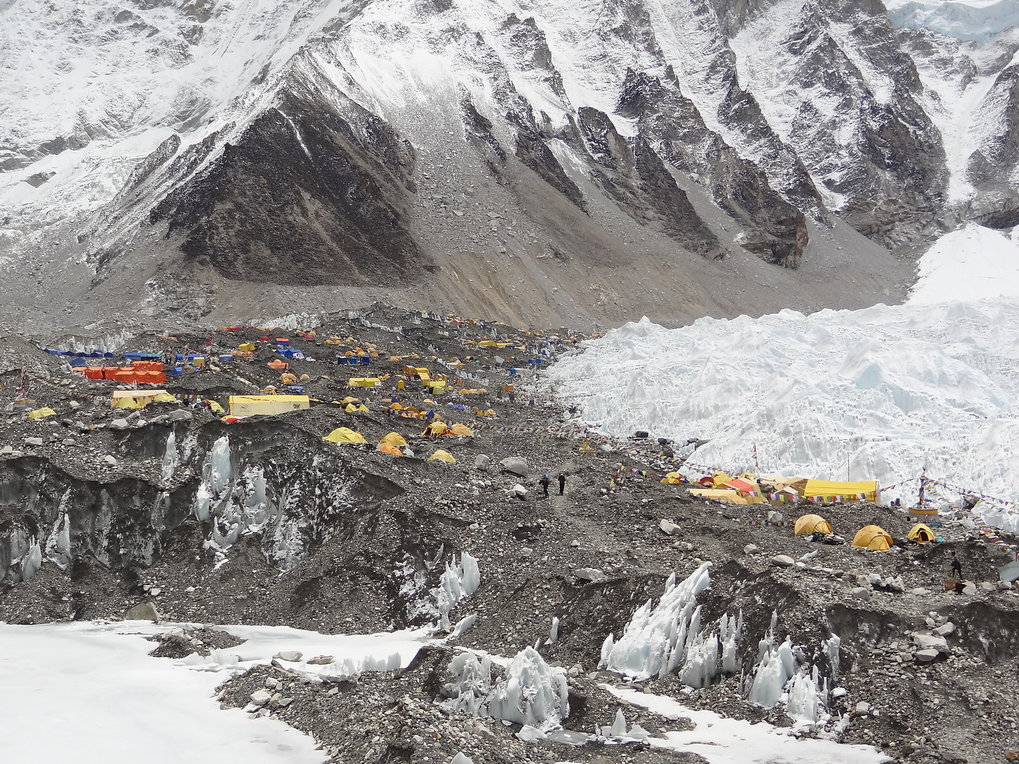 basecamp-tents.jpg