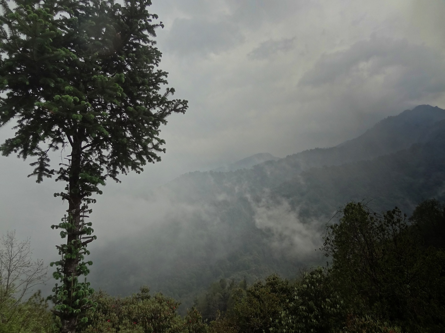 chitre-clouds.jpg