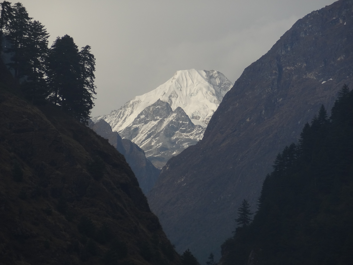 dharapani-manaslu.jpg