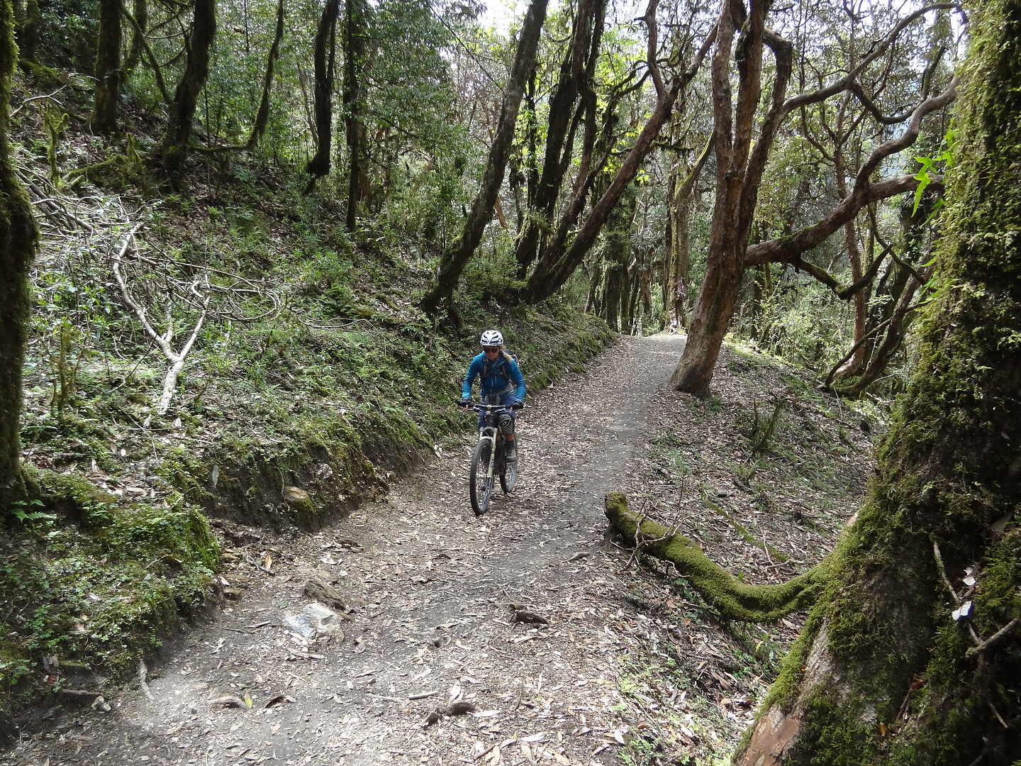 ghandruk-trail2.jpg