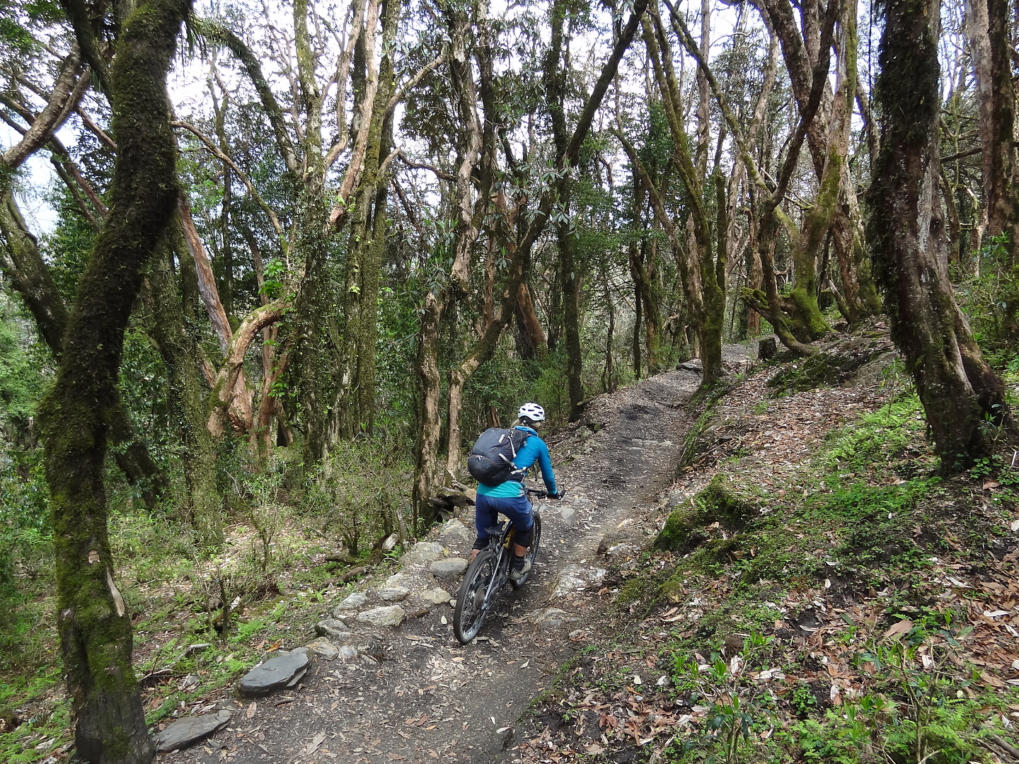 ghandruk-trail3.jpg