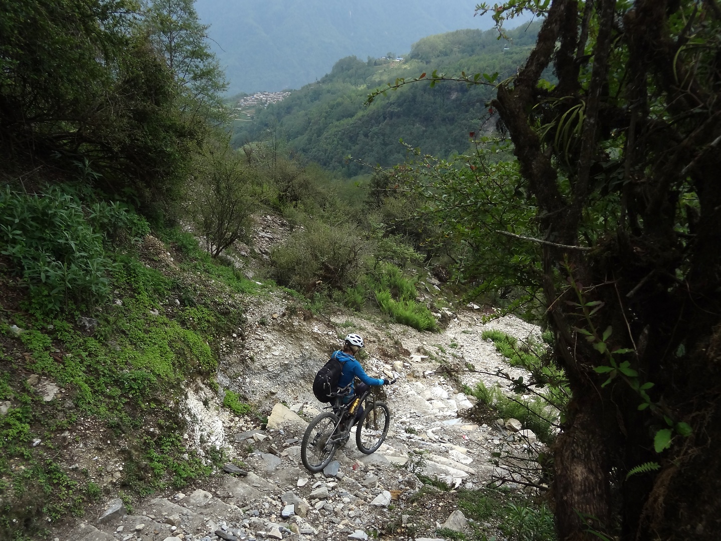 ghandruk-trail4.jpg