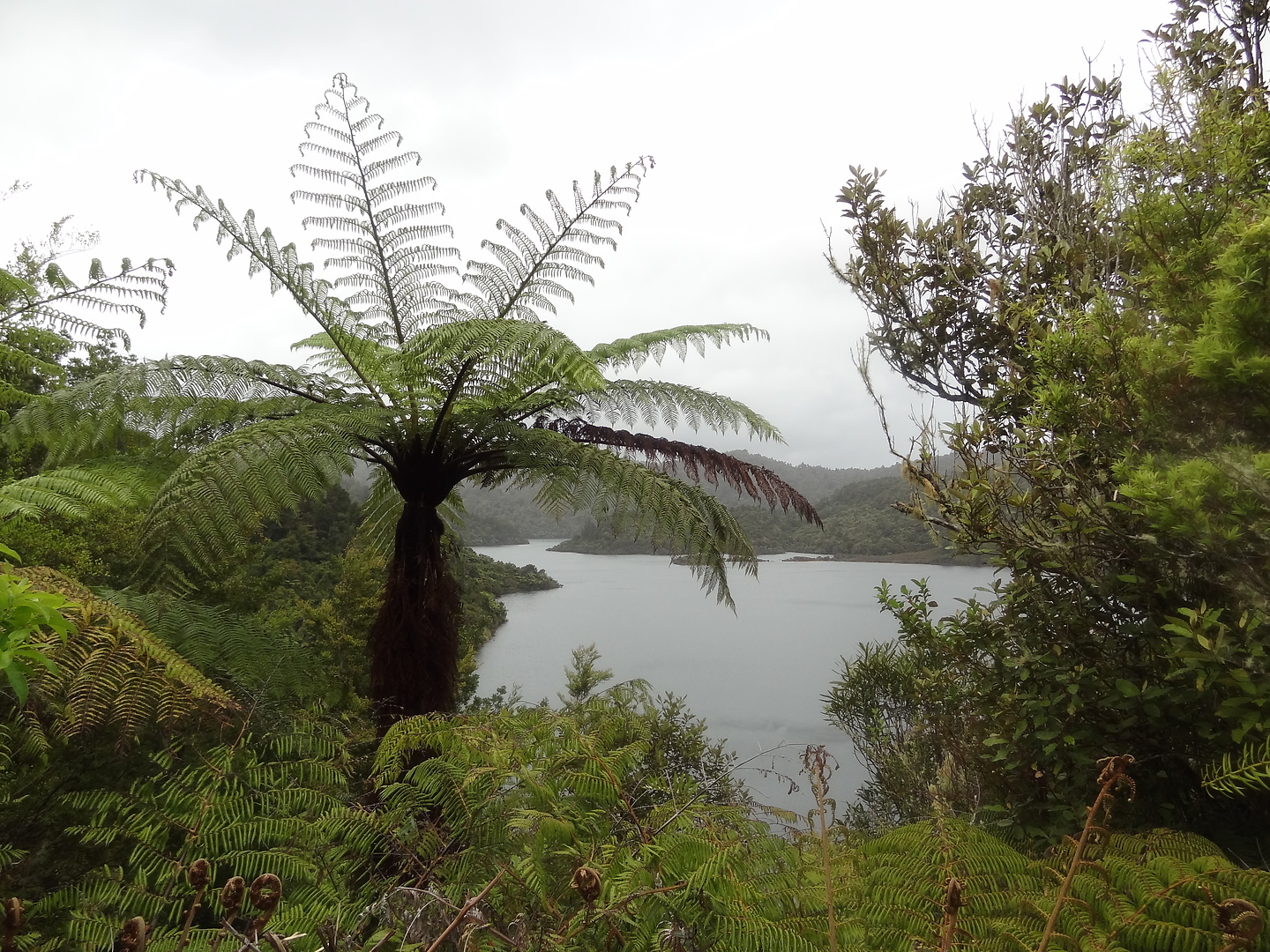 hunua-lake.jpg