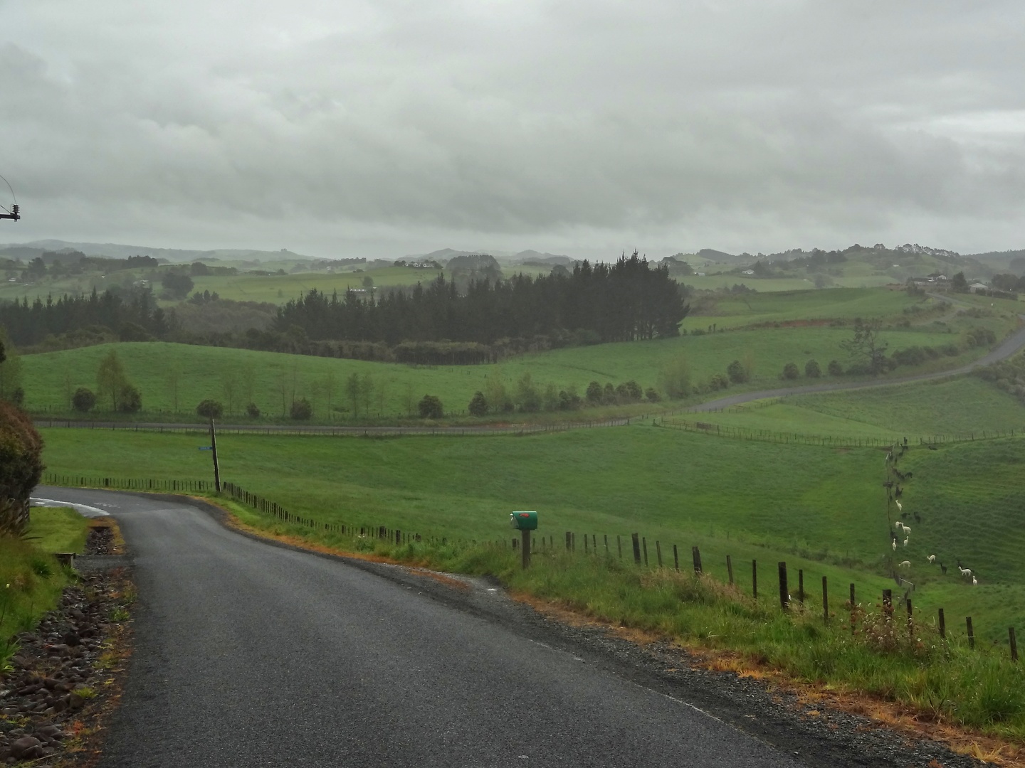 hunua-road1.jpg