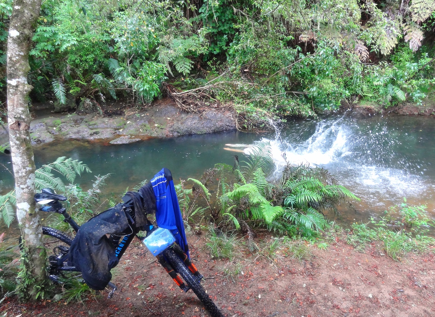 hunua-swim.jpg