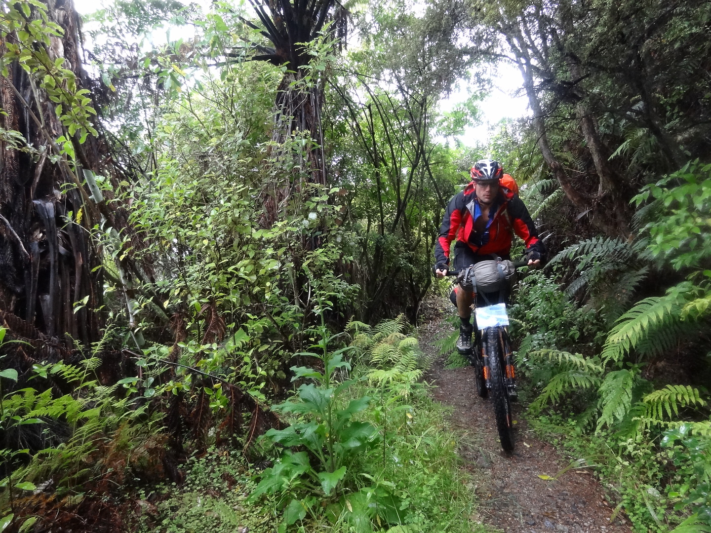 hunua-trail1.jpg