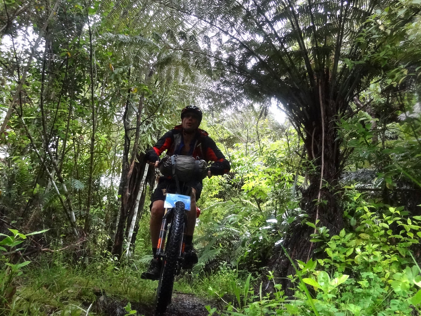 hunua-trail2.jpg