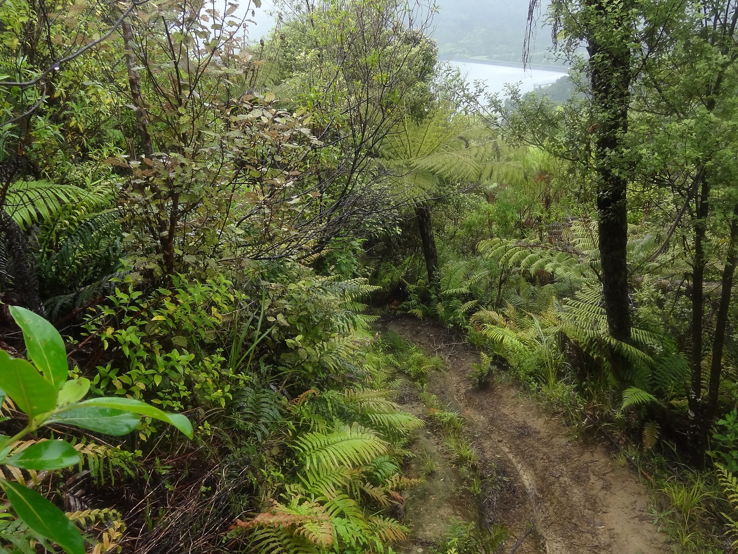 hunua-trail4.jpg