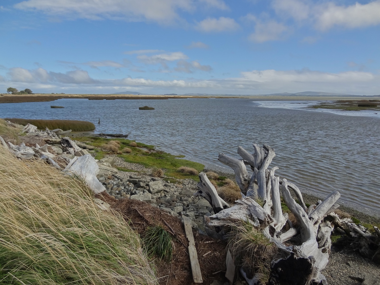 invercargill-beach.jpg