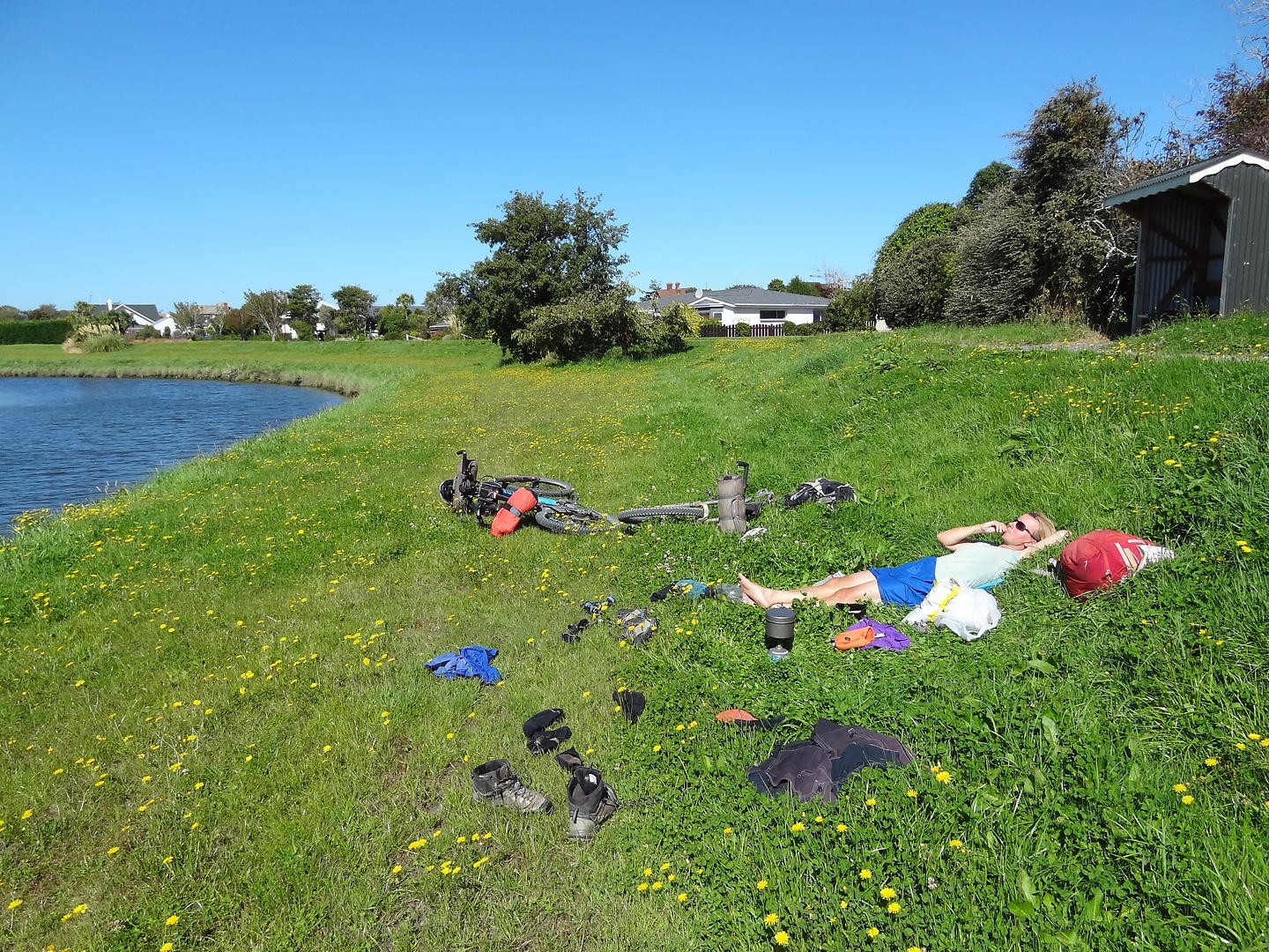 invercargill-grass.jpg