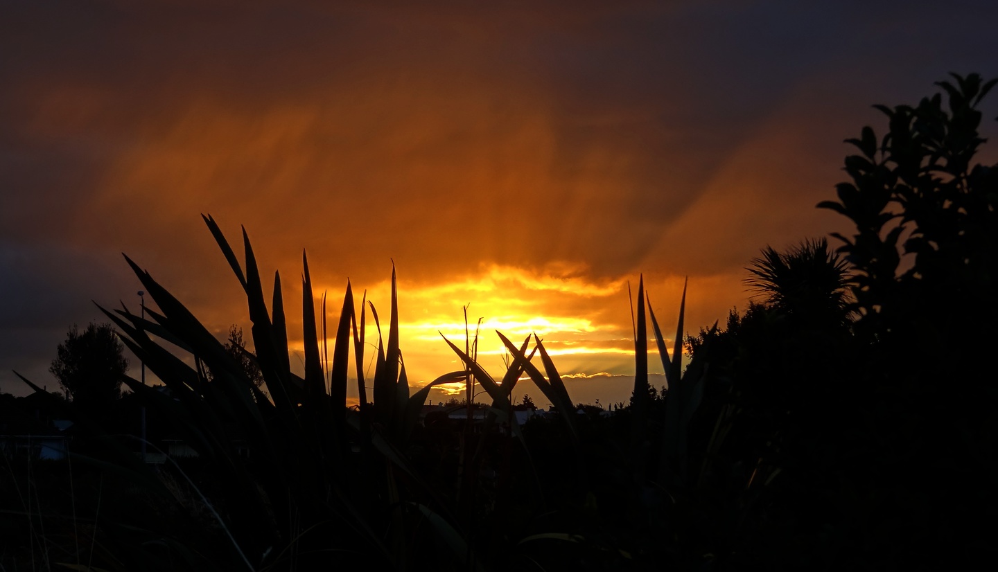 invercargill-sunrise.jpg