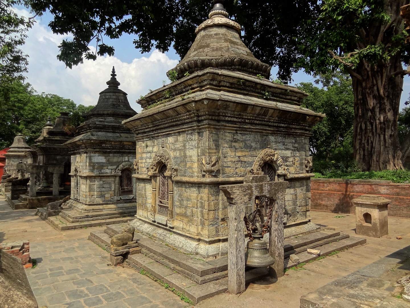 kathmandu-pashu1.jpg