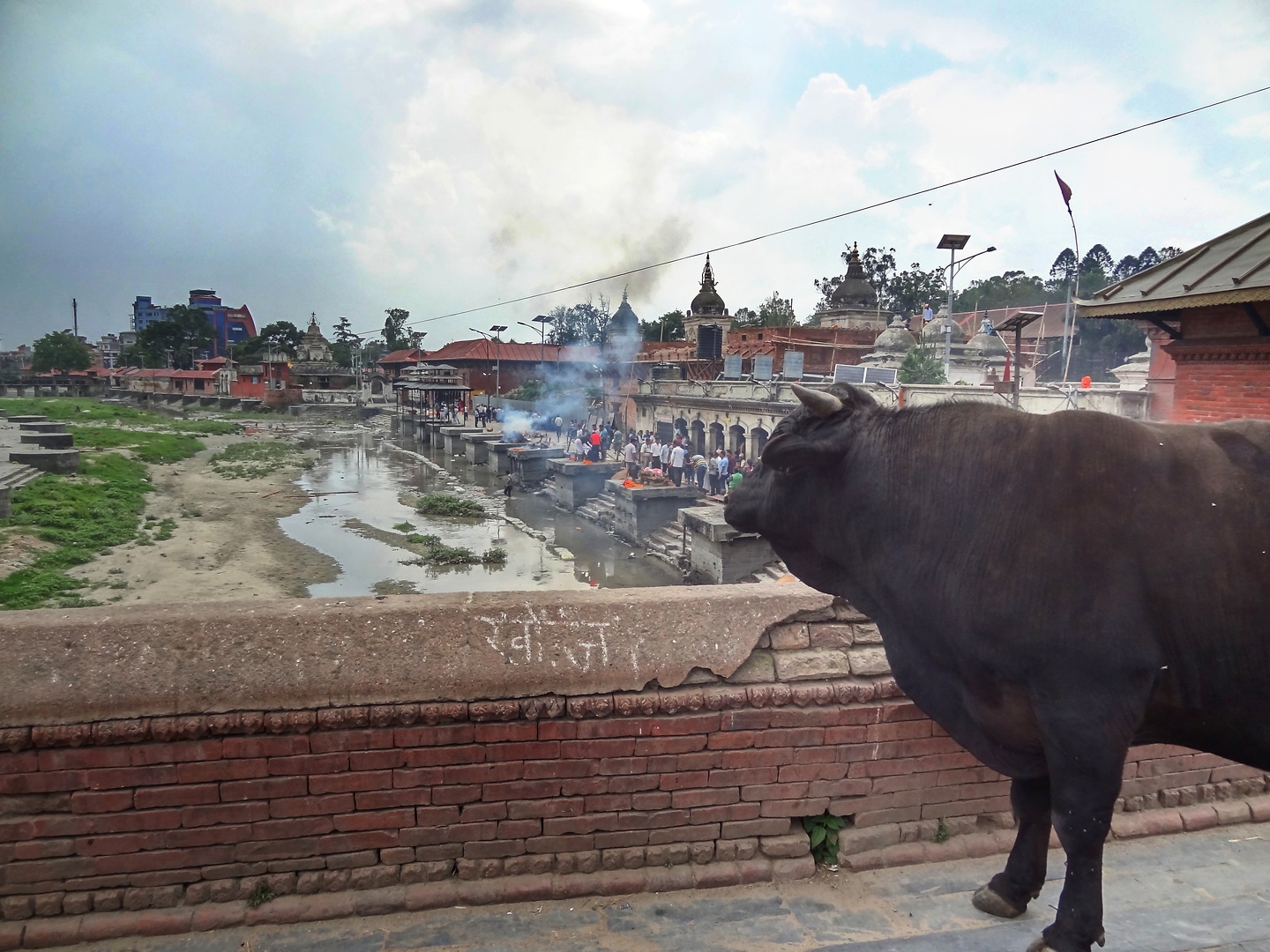 kathmandu-pashu4.jpg