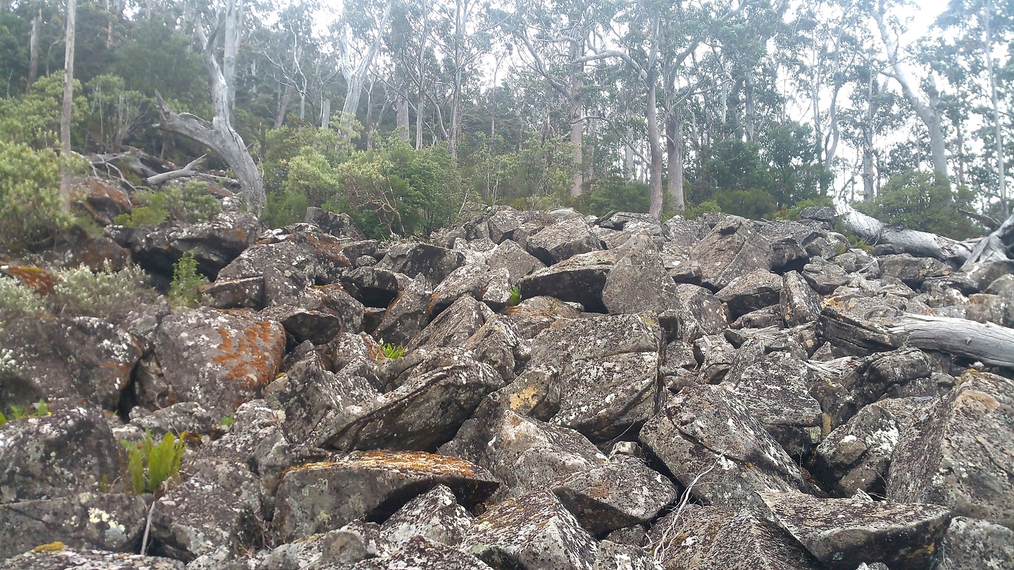 launceston-arthurbush2.jpg