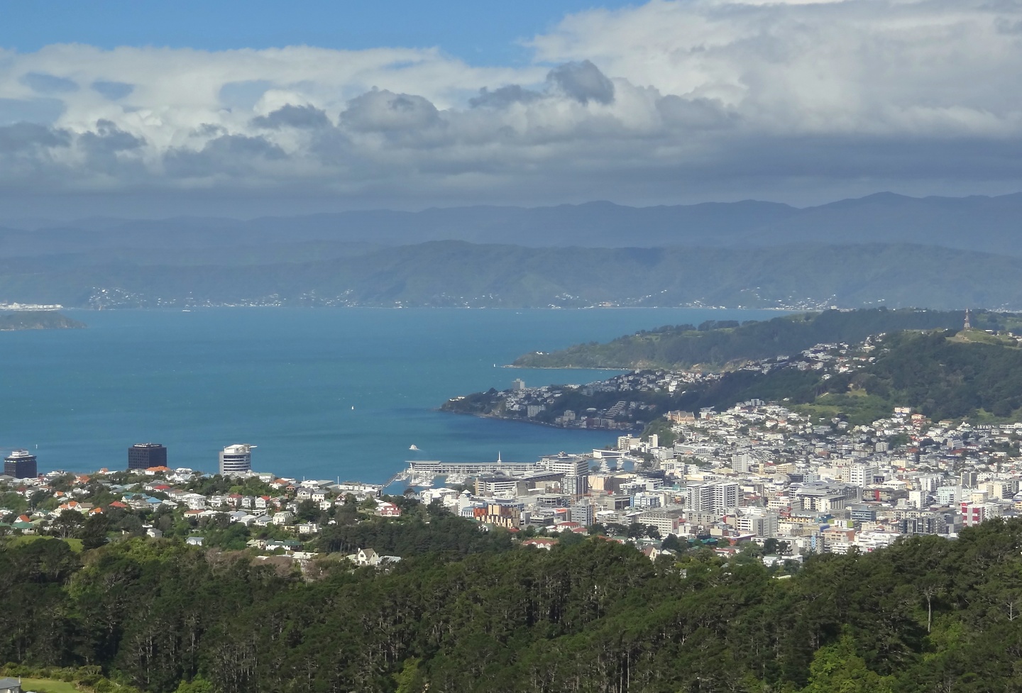 makara-wellington.jpg