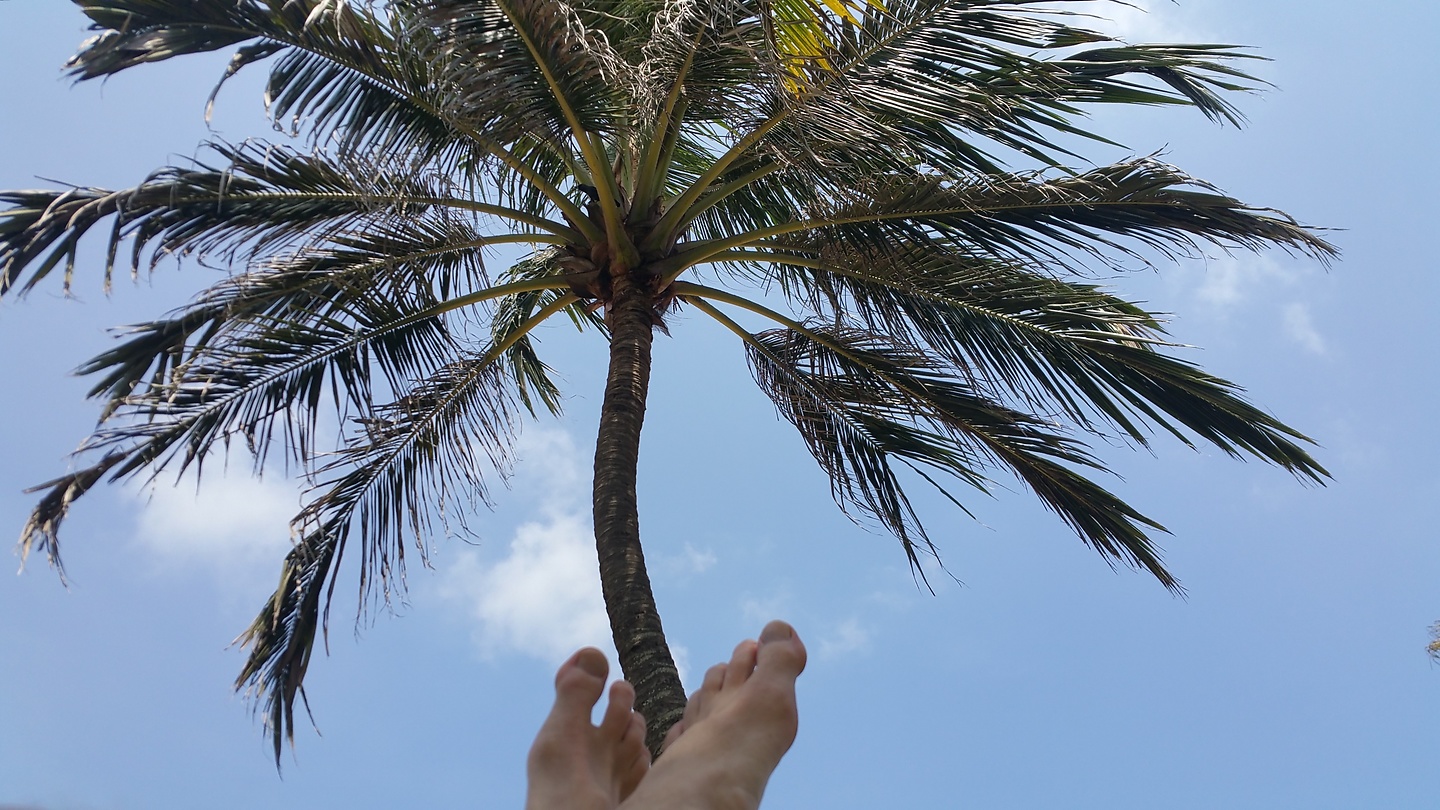 negombo-palmfeet.jpg