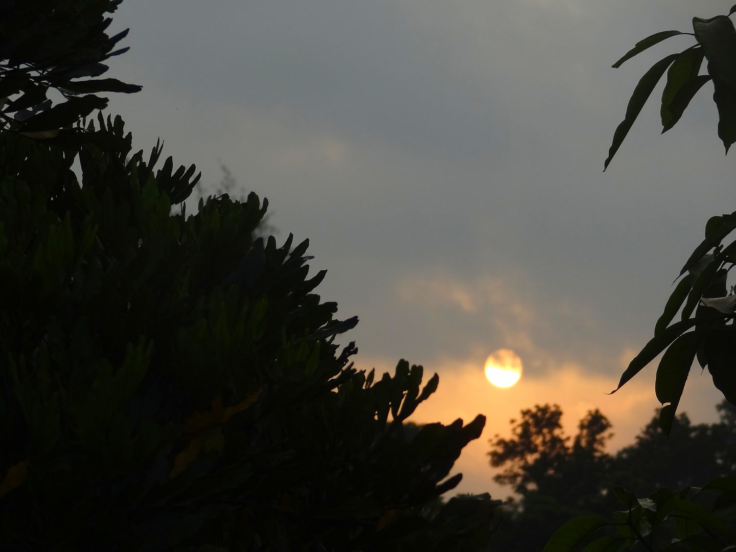 pinnawela-sunrise.jpg