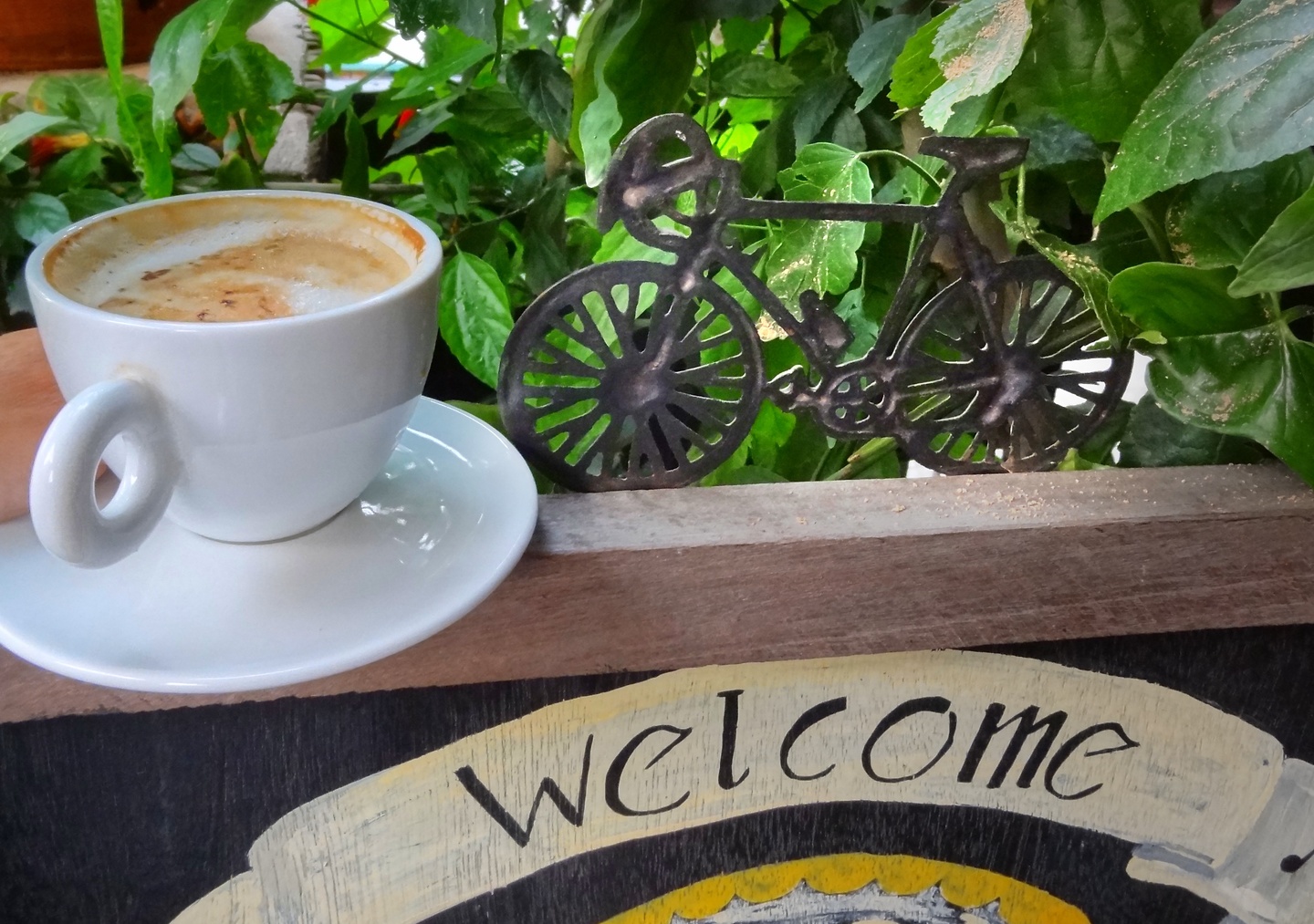 pokhara-coffee.jpg