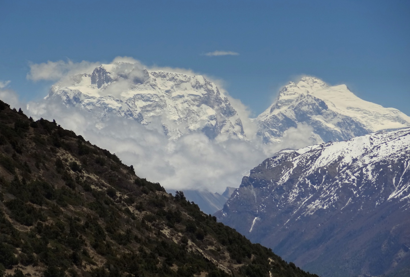 shrikarka-manaslu2.jpg