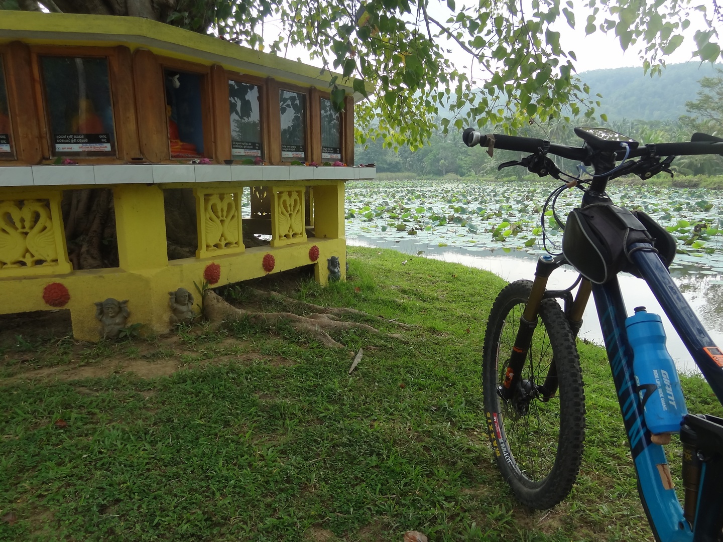 tangalle-lake.jpg