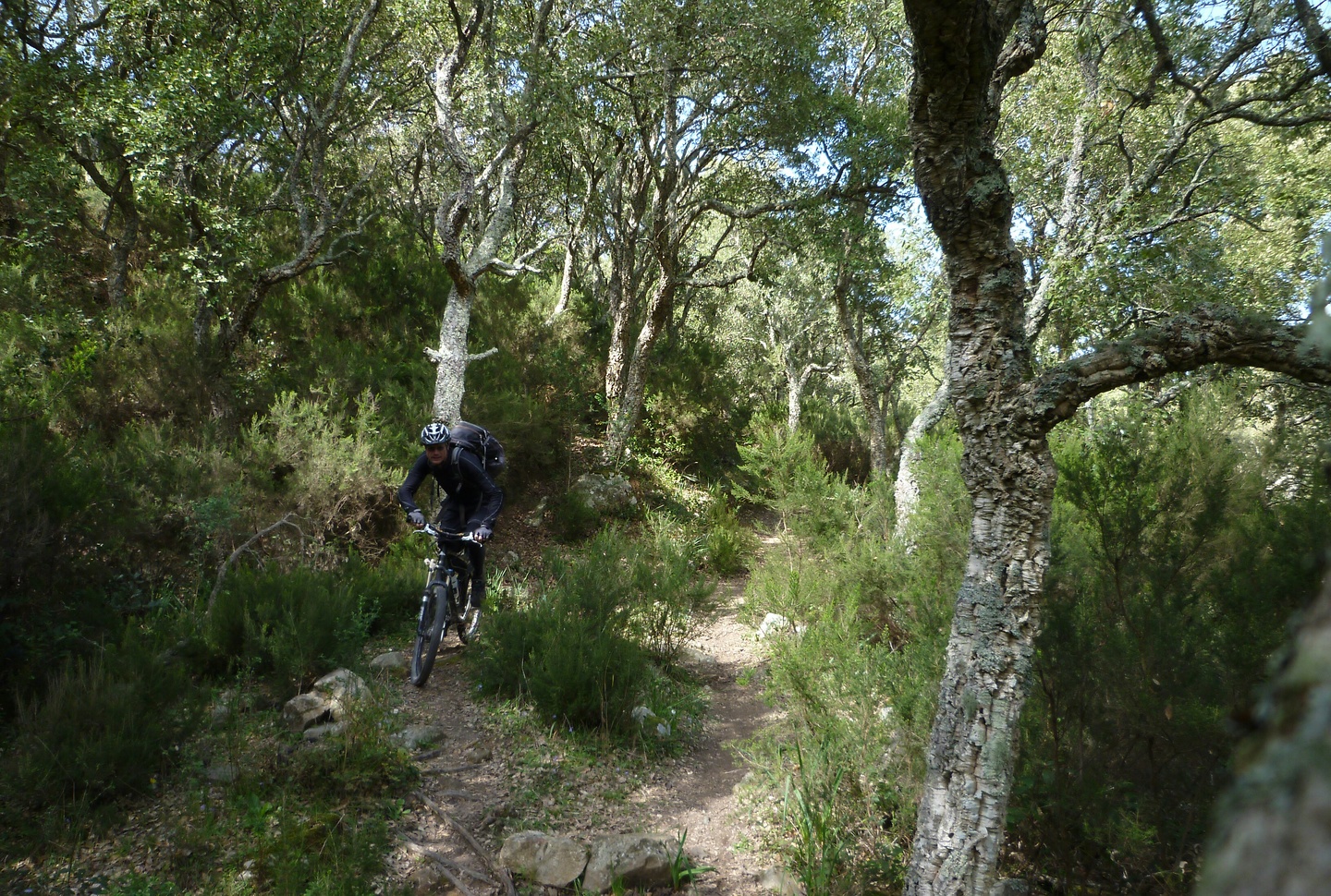 algeciras-trail1.jpg