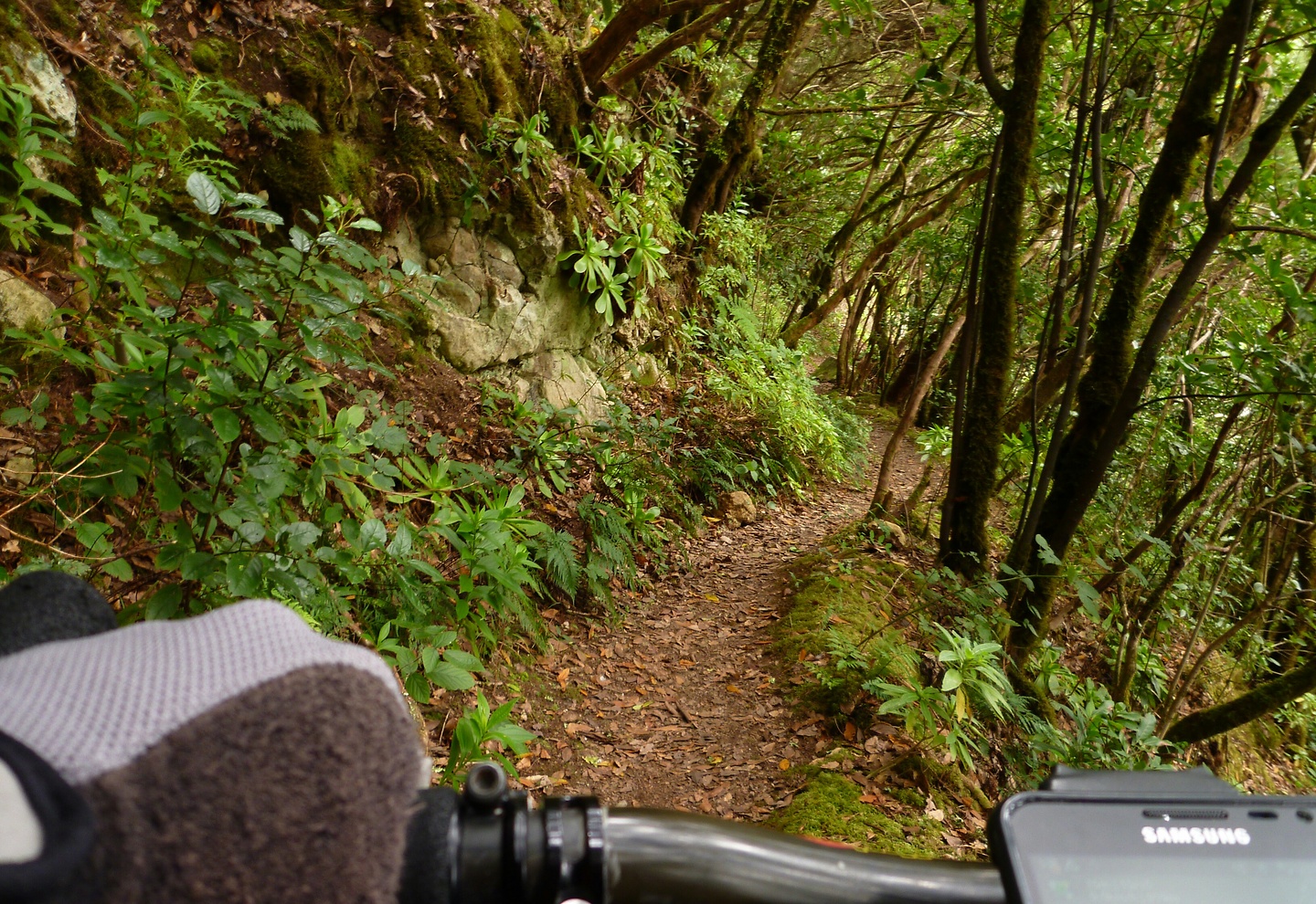 andres-trail1.jpg