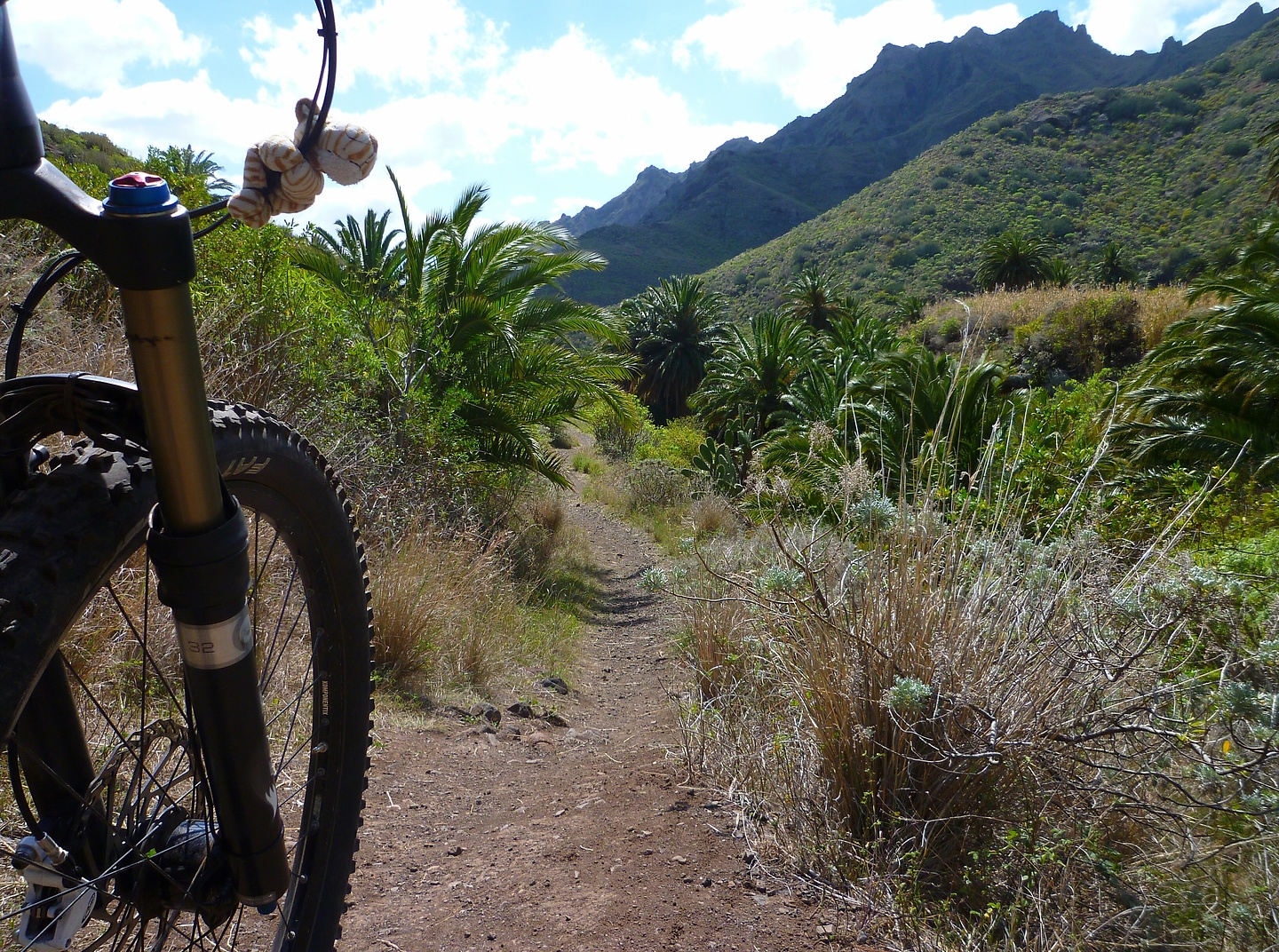 andres-trail11.jpg