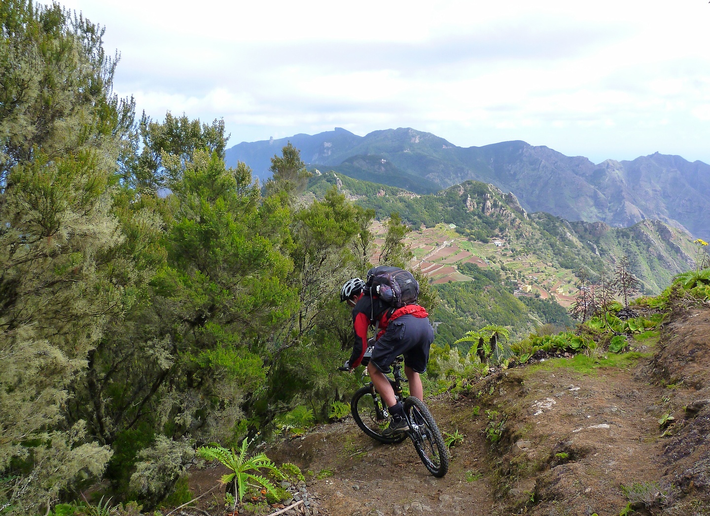andres-trail2.jpg