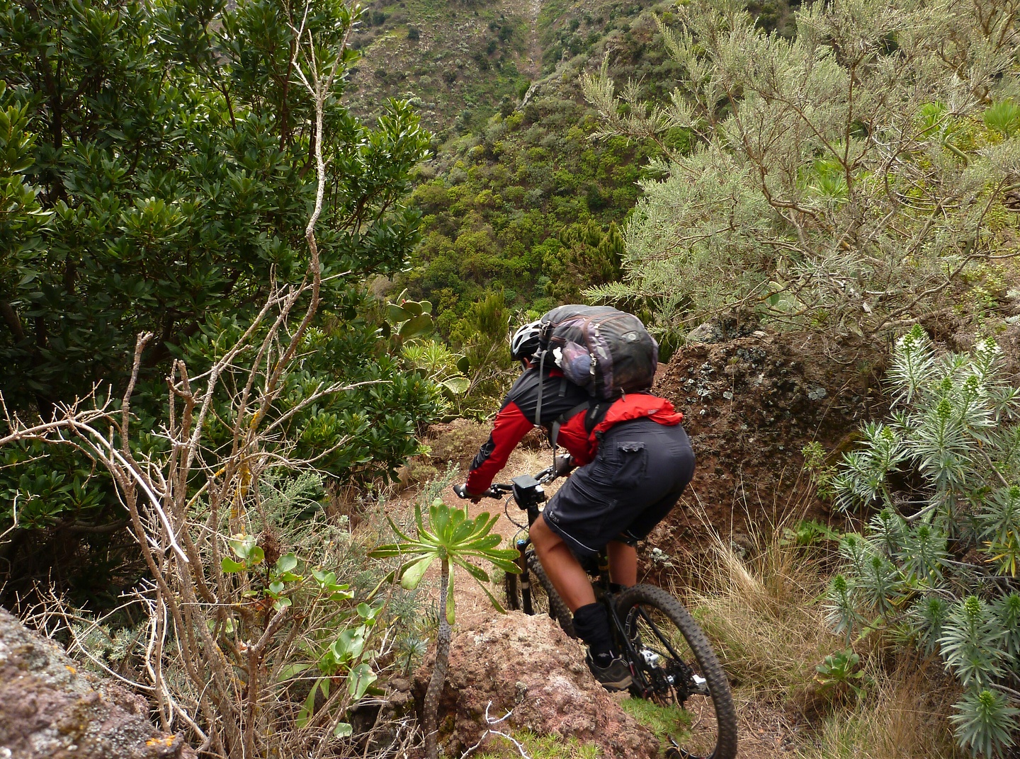 andres-trail3.jpg