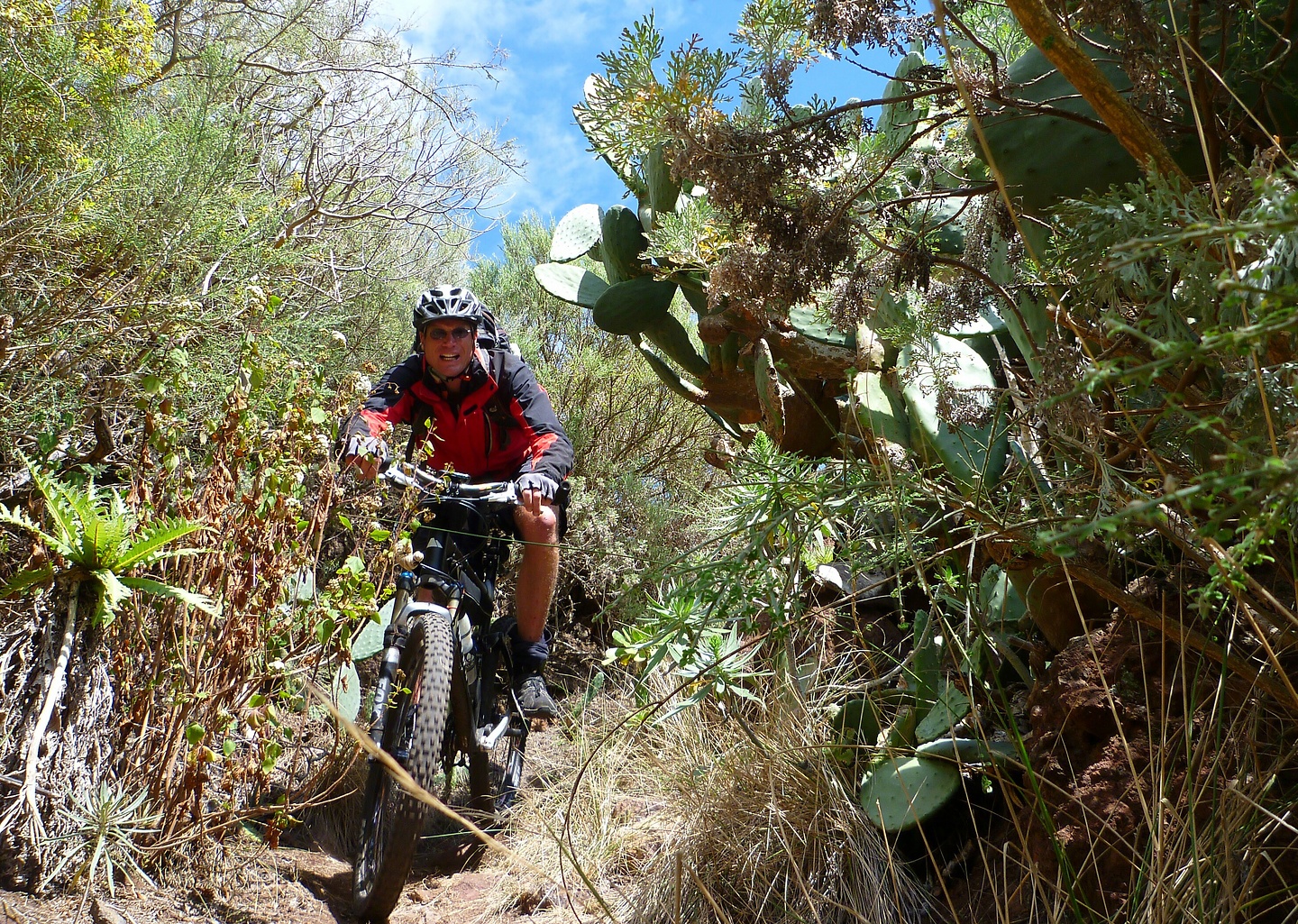 andres-trail4.jpg