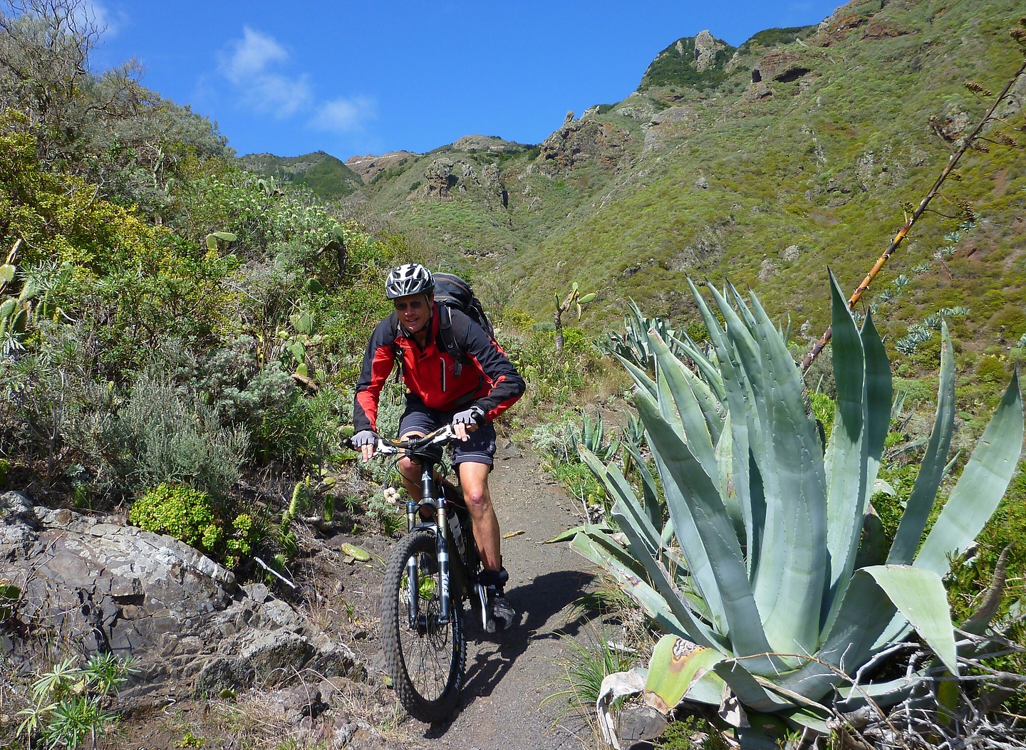 andres-trail6.jpg