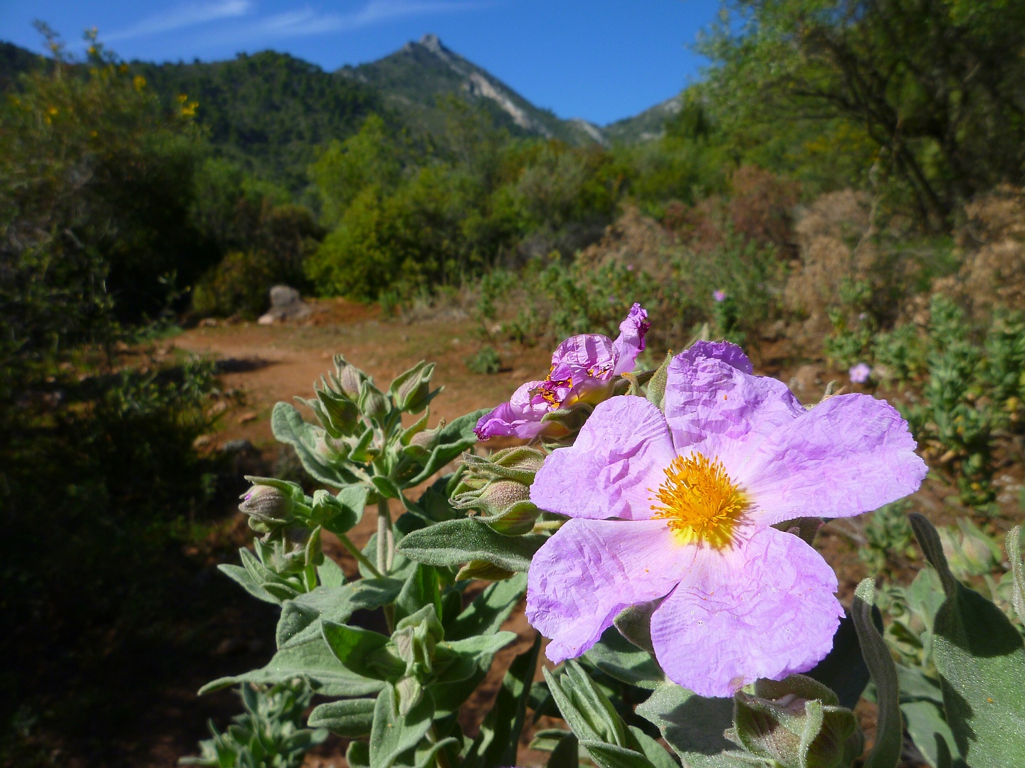 marbella-trail6.jpg