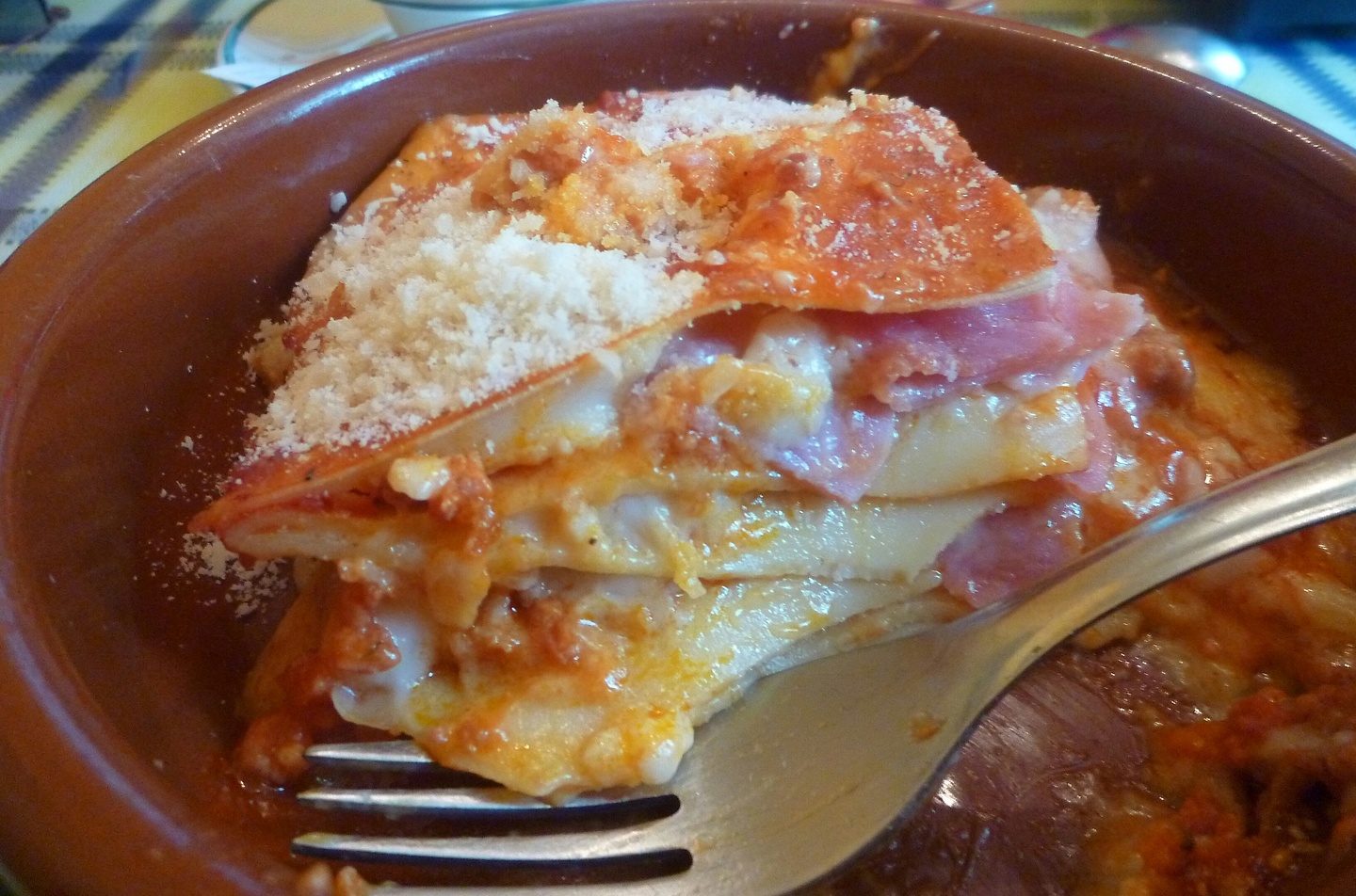 mocanal-lasagne.jpg