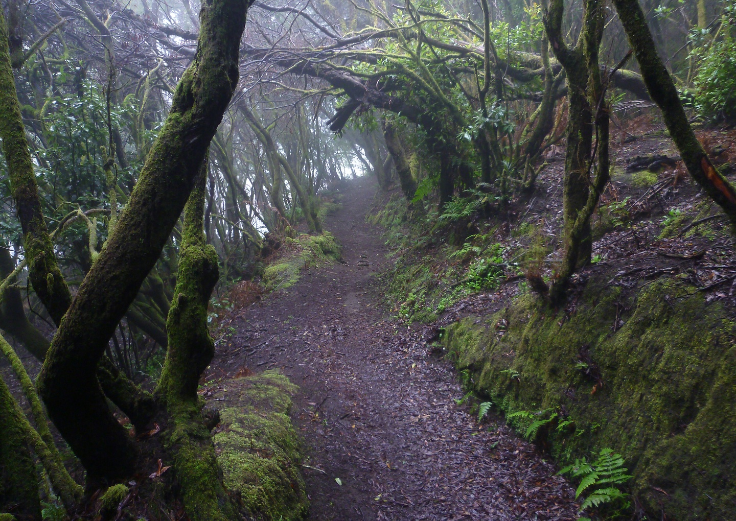 pilar-lp17trail1.jpg