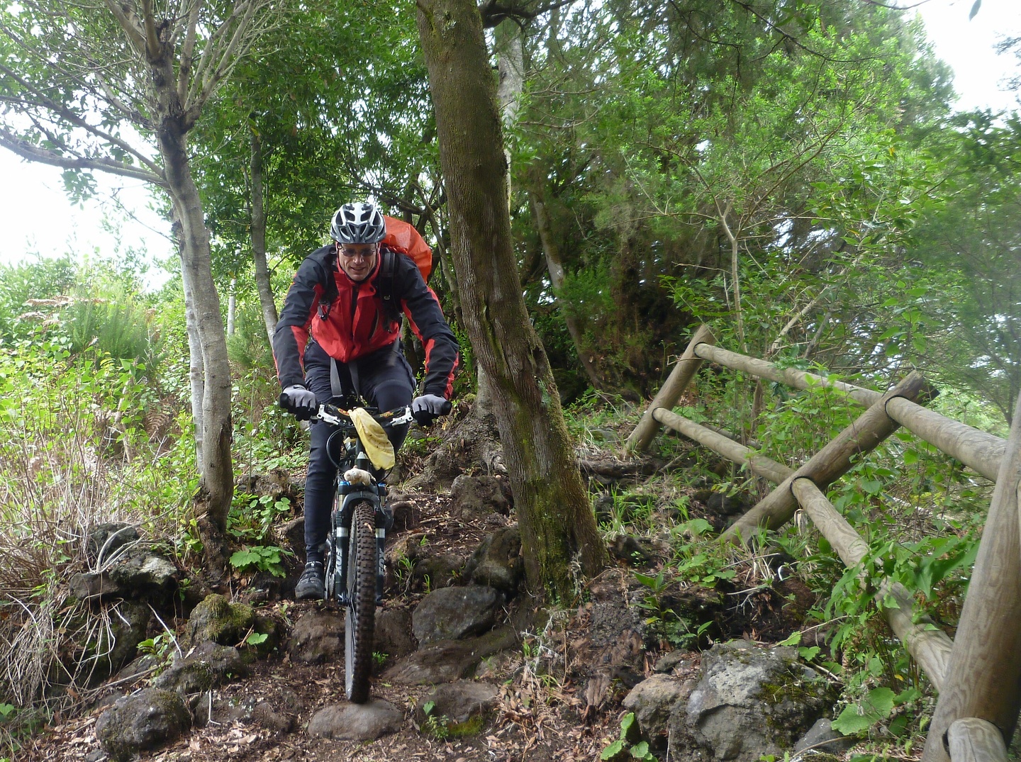 pilar-lp17trail2.jpg