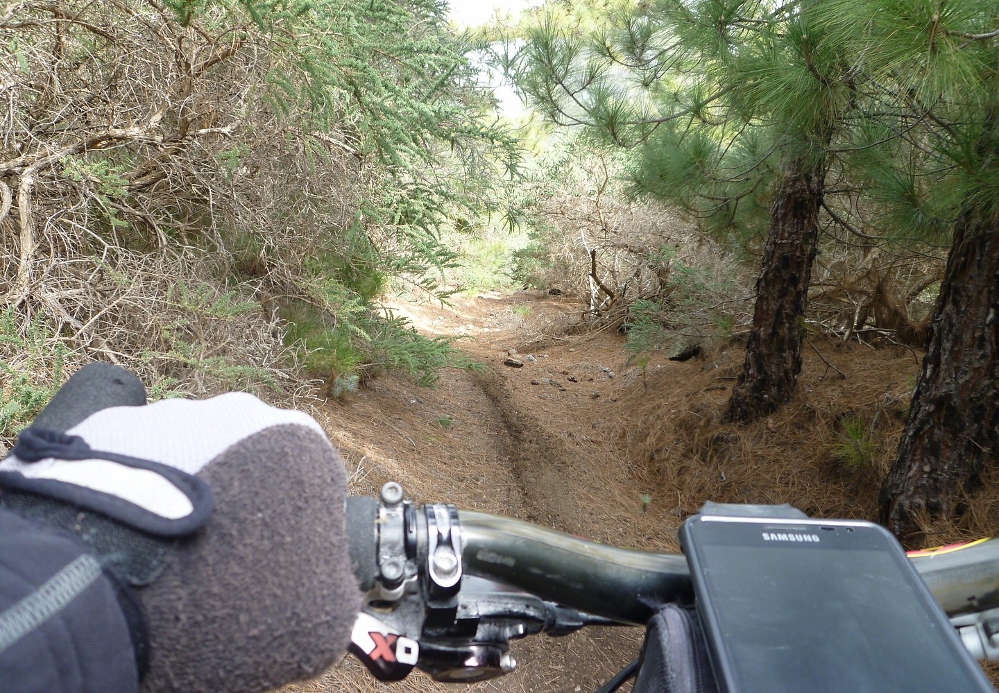 punta-trail01.jpg