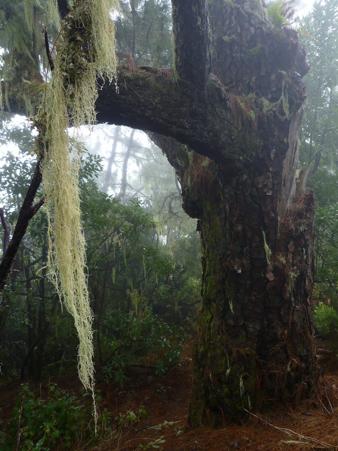 punta-trail06.jpg